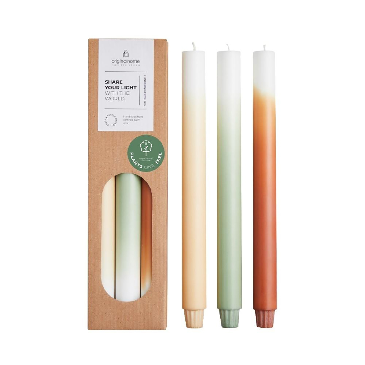GRADIENT PINE SET OF CANDLES 1