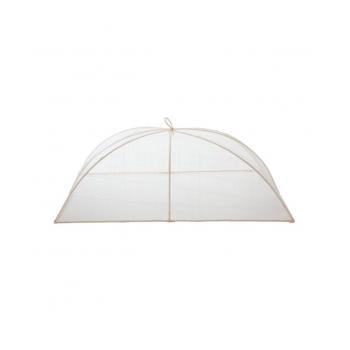 ABACA 50