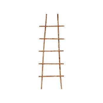 NOE LADDER