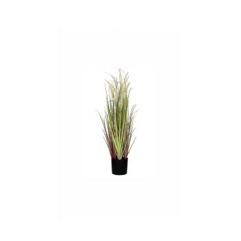 GRASS BEIGE
