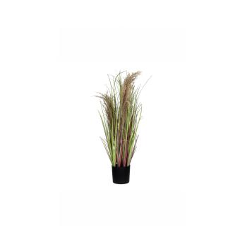 GRASS NATURAL