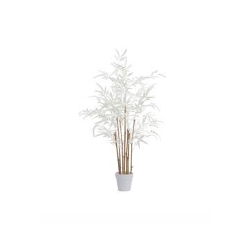 BAMBOO NT/CR