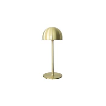 TIM T BRASS 