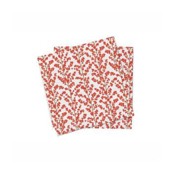REDBERRY SET6 