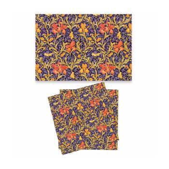  IRIS SET6 