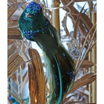 VELVET BIRD