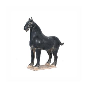 BLACK HORSE 