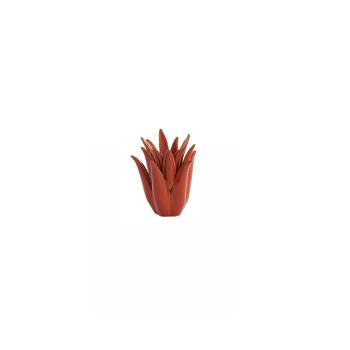 CACTUS XS ORANGE 