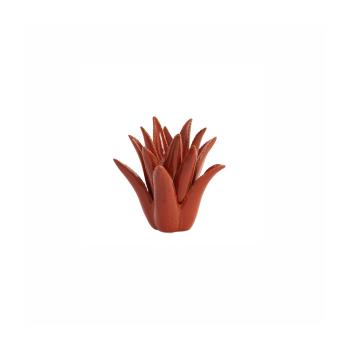 CACTUS S ORANGE