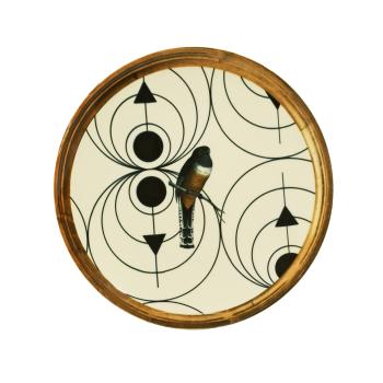 HUMMING BIRD SET6 DINNER PLATE 
