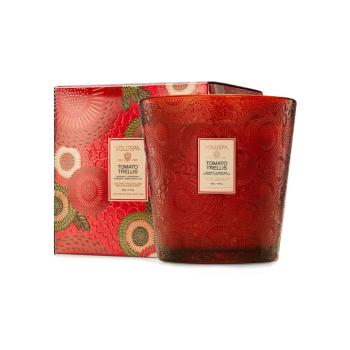 TOMATO TRELLIS 3WICK 