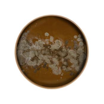 ORGANIC ROUND MOSAIC BRONZE 